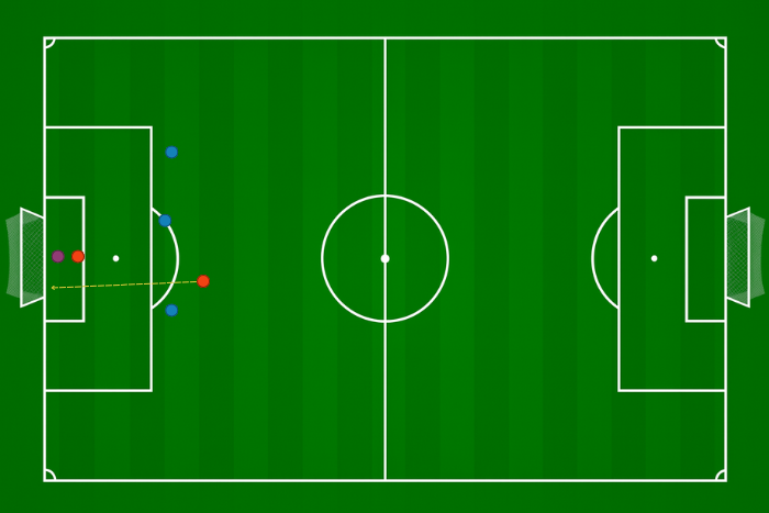 Zasłanianie widoku bramkarzowi